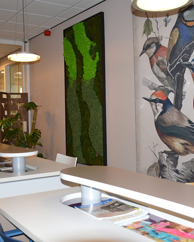 wachtkamer 2 de fenix wachtkamer 2 de fenix